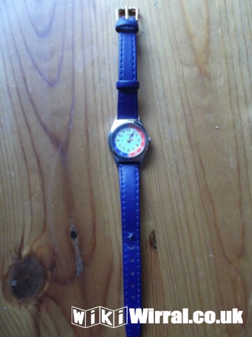 Attached picture blue watch.jpg